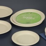 ظروف یکبار مصرف ۱۰۰ درصد گیاهی