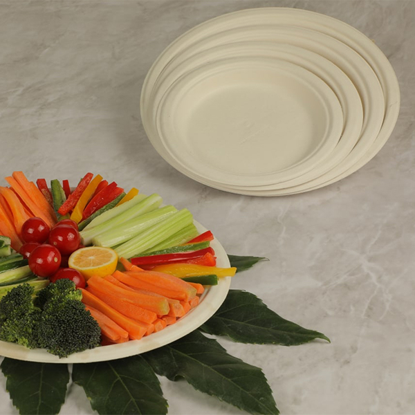 ظروف غذاخوری یکبار مصرف