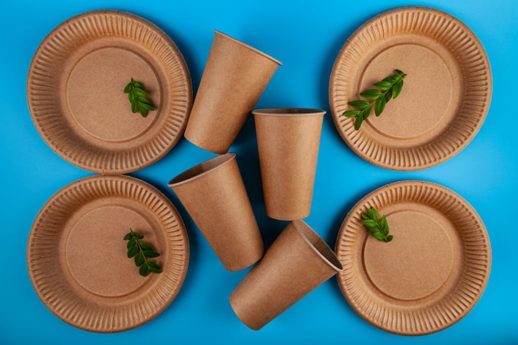 ظروف یکبار مصرف گیاهی